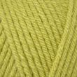 Yarn Dzija Emu Classic Chunky / 100 g Herby (146)