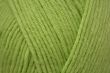 Yarn Emu Treasure DK 50 g / Grass (507)