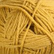 Dzija Wendy pure wool aran / Gorse 5623