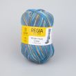 Dzija Regia Winter Hues Color / 03779 Northern lights