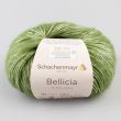 Dzija Schachenmayr Bellicia 25 g / 00070 Laub