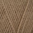 Dzija Emu Classic DK 100 g / Pecan (113)