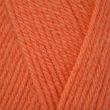 Dzija Emu Classic DK 100 g / Carrot (117)