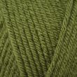 Dzija Emu Classic Chunky / 100 g Fern (163)