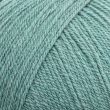 Dzija Emu Classic Aran With Wool 400 g /  Gentle Sage (214