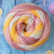 Dzija Emu Funfair Swirl DK 150 g / Teacups 004